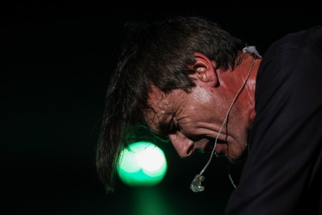 Suede in Mogosoaia on september 2022