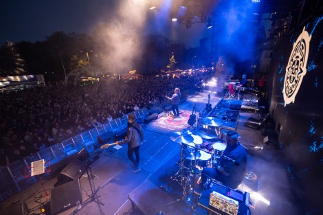 Bosquito in Bucharest on april 2025