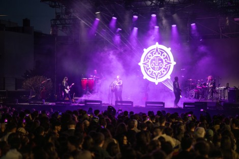 Bosquito in Bucharest on april 2025