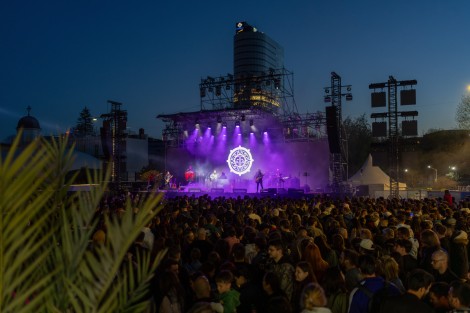 Bosquito in Bucharest on april 2025