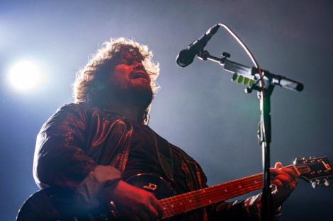 Bosquito in Bucharest on february 2024