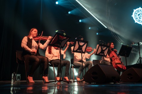 Bosquito in Bucharest on february 2024
