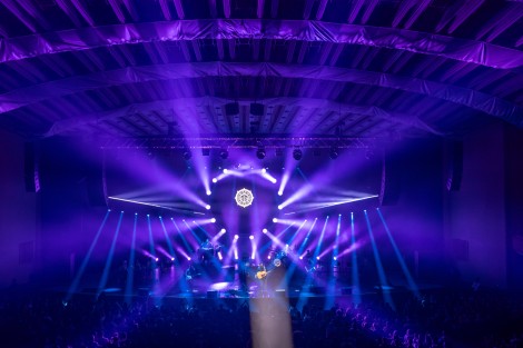 Bosquito in Bucharest on february 2024