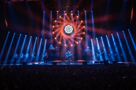 Bosquito in Bucharest on february 2024