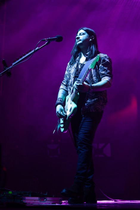 Bosquito in Bucharest on february 2024