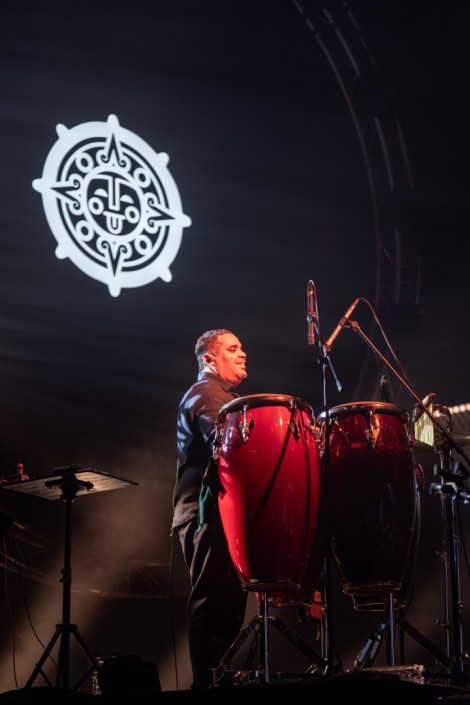 Bosquito in Bucharest on february 2024