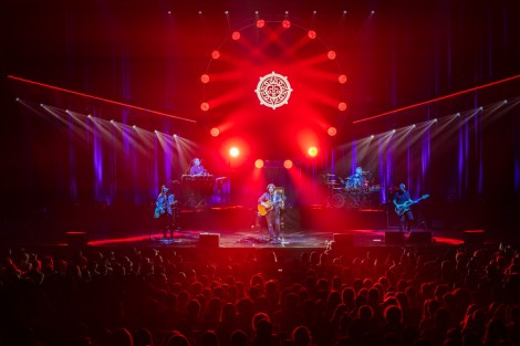 Bosquito in Bucharest on february 2024