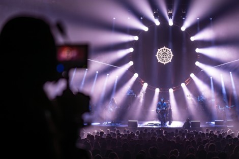 Bosquito in Bucharest on february 2024