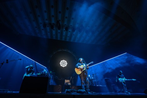 Bosquito in Bucharest on february 2024