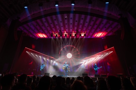 Bosquito in Bucharest on february 2024