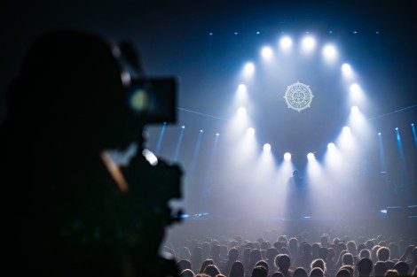 Bosquito in Bucharest on february 2024