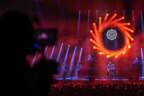 Bosquito in Bucharest on february 2024