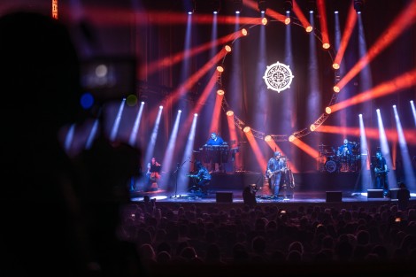 Bosquito in Bucharest on february 2024