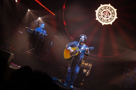 Bosquito in Bucharest on february 2024