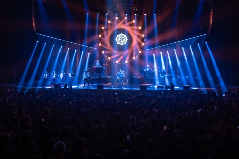 Bosquito in Bucharest on february 2024