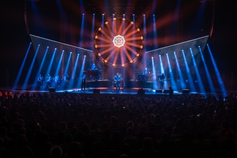 Bosquito in Bucharest on february 2024