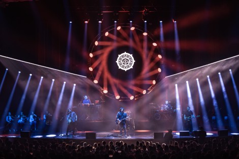 Bosquito in Bucharest on february 2024