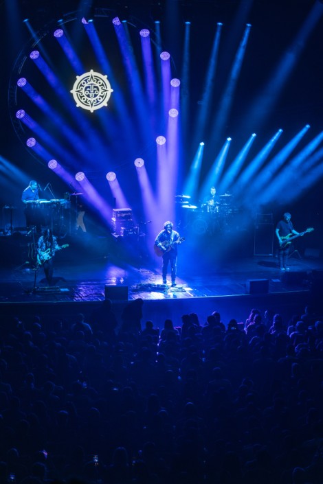 Bosquito in Bucharest on february 2024
