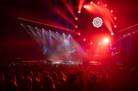 Bosquito in Bucharest on february 2024