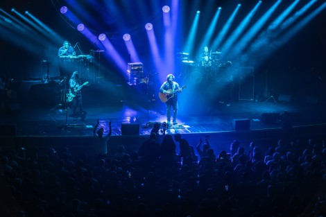 Bosquito in Bucharest on february 2024