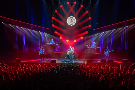 Bosquito in Bucharest on february 2024