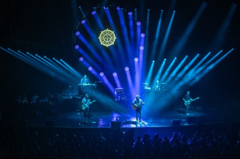 Bosquito in Bucharest on february 2024