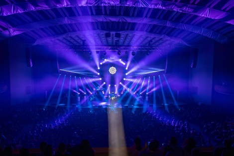Bosquito in Bucharest on february 2024