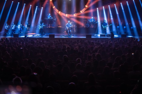 Bosquito in Bucharest on february 2024