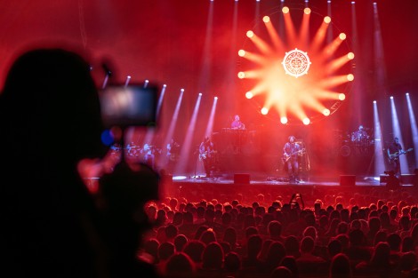 Bosquito in Bucharest on february 2024