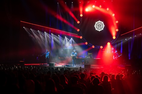 Bosquito in Bucharest on february 2024