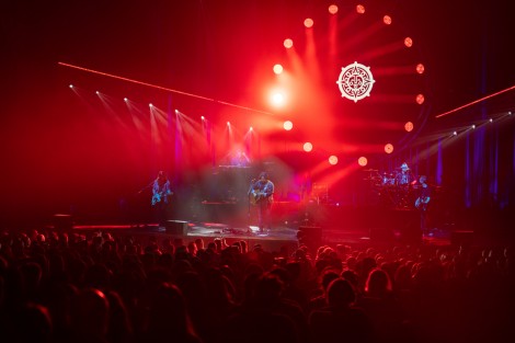 Bosquito in Bucharest on february 2024