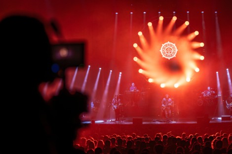 Bosquito in Bucharest on february 2024