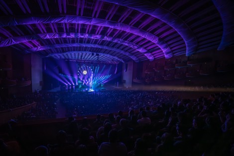 Bosquito in Bucharest on february 2024