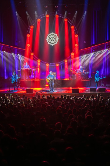 Bosquito in Bucharest on february 2024