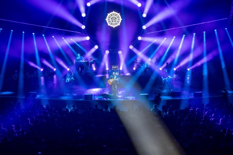 Bosquito in Bucharest on february 2024