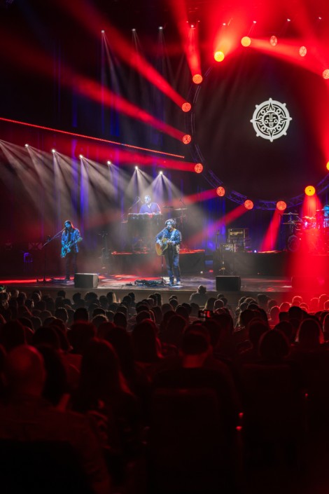 Bosquito in Bucharest on february 2024
