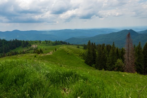 bucegi-mountains-dambovita-june-2022-41a920d909