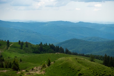 bucegi-mountains-dambovita-june-2022-5063072791