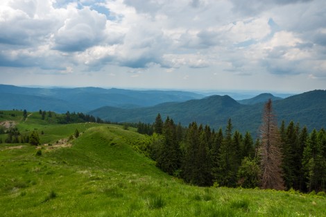 bucegi-mountains-dambovita-june-2022-b25958c9a1