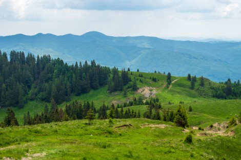 bucegi-mountains-dambovita-june-2022-c2619548cd