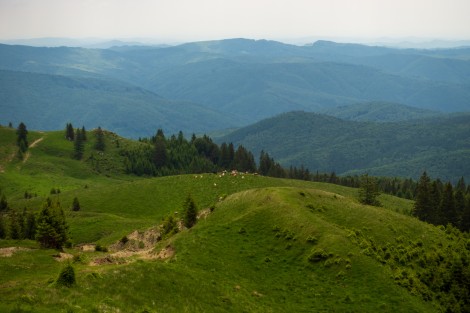 bucegi-mountains-dambovita-june-2022-d6aa7382ec