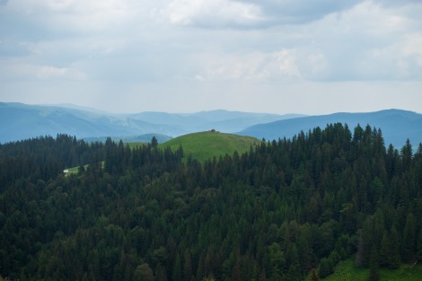 bucegi-mountains-dambovita-june-2022-f1a1934bde