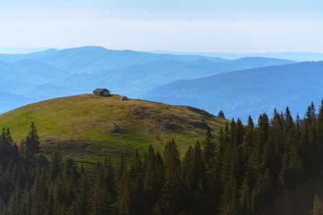 bucegi-mountains-Dambovita-may-2021-5da89d291b