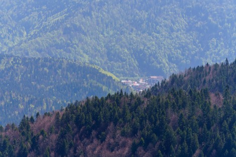 bucegi-mountains-Dambovita-may-2021-82daaa4525