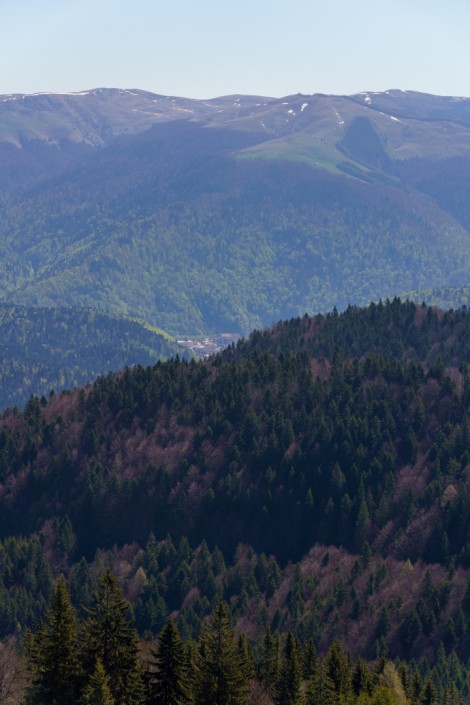 bucegi-mountains-Dambovita-may-2021-f3702595ce