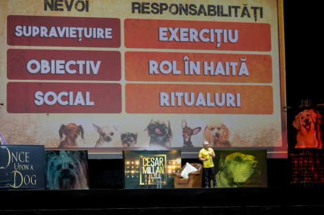 Cesar Millan in Bucharest on march 2017