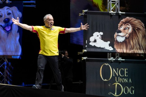 Cesar Millan in Bucharest on march 2017