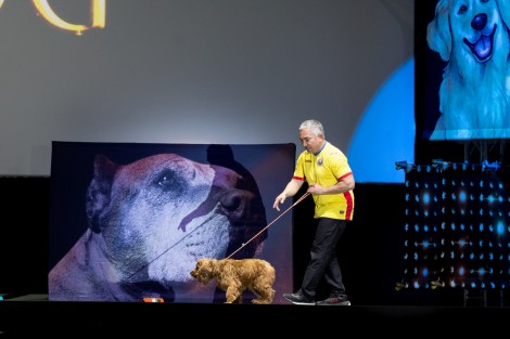 Cesar Millan in Bucharest on march 2017
