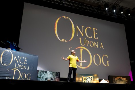 Cesar Millan in Bucharest on march 2017