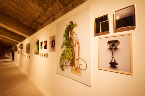 Diploma Show 2024 in Bucharest on october 2024